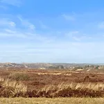 Lejlighed Lieblingsplatz Am 1 Auf Sylt